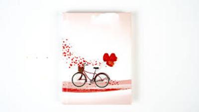 A6 Officepoint Executive Notebook(Ludus)